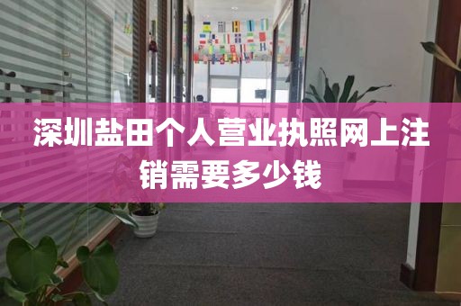 深圳盐田个人营业执照网上注销需要多少钱