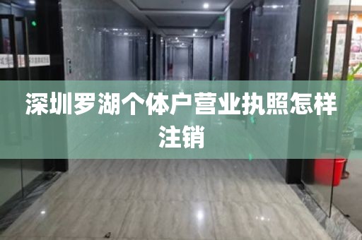 深圳罗湖个体户营业执照怎样注销