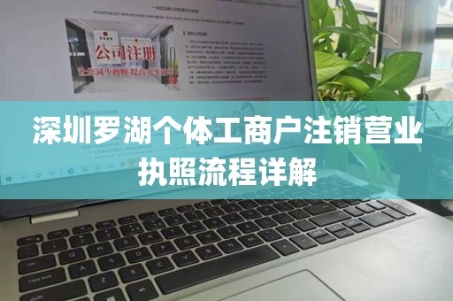 深圳罗湖个体工商户注销营业执照流程详解