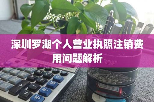 深圳罗湖个人营业执照注销费用问题解析