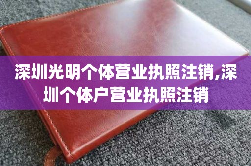 深圳光明个体营业执照注销,深圳个体户营业执照注销
