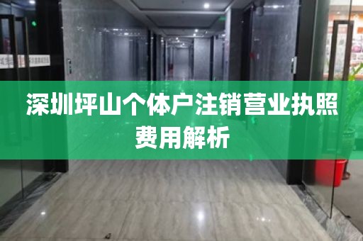 深圳坪山个体户注销营业执照费用解析