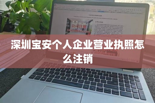 深圳宝安个人企业营业执照怎么注销