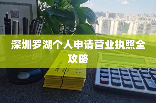深圳罗湖个人申请营业执照全攻略