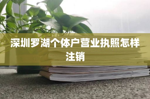 深圳罗湖个体户营业执照怎样注销