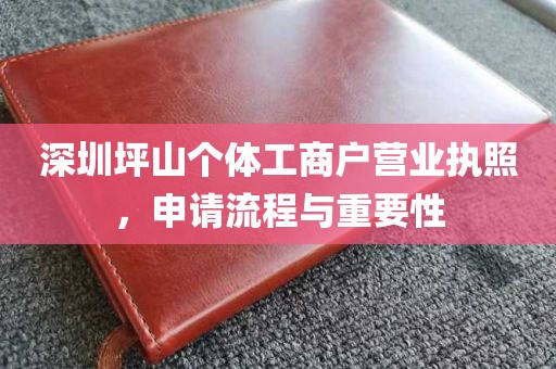 深圳坪山个体工商户营业执照，申请流程与重要性