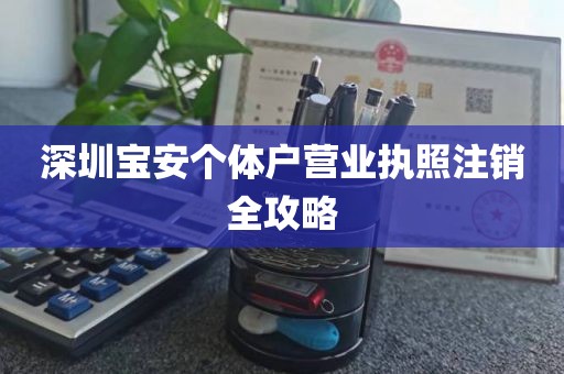 深圳宝安个体户营业执照注销全攻略