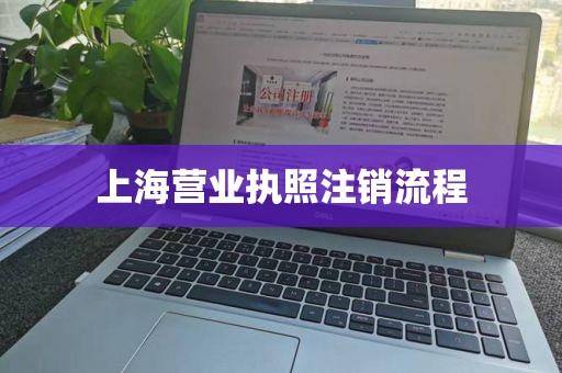 上海营业执照注销流程