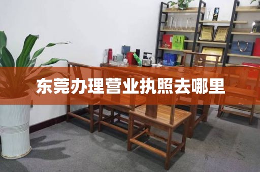 东莞办理营业执照去哪里