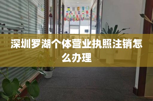 深圳罗湖个体营业执照注销怎么办理
