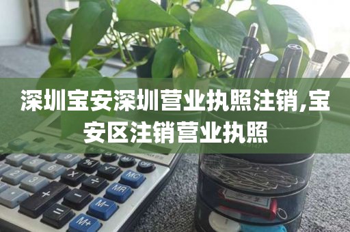 深圳宝安深圳营业执照注销,宝安区注销营业执照