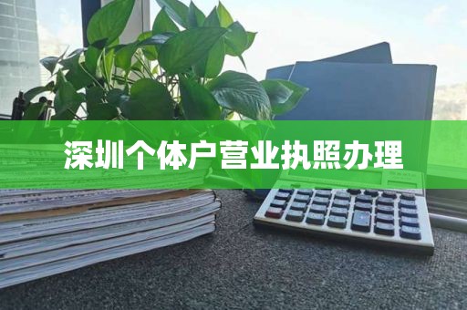 深圳个体户营业执照办理