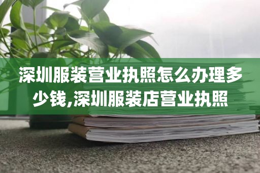 深圳服装营业执照怎么办理多少钱,深圳服装店营业执照