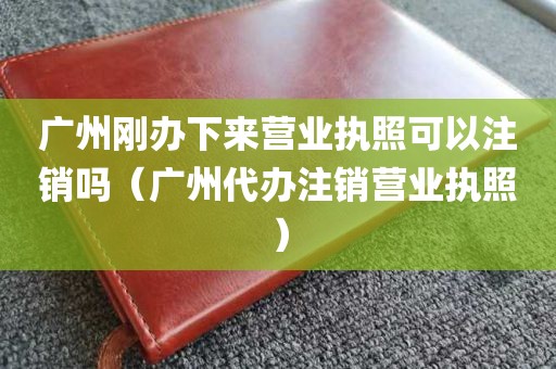 广州刚办下来营业执照可以注销吗（广州代办注销营业执照）