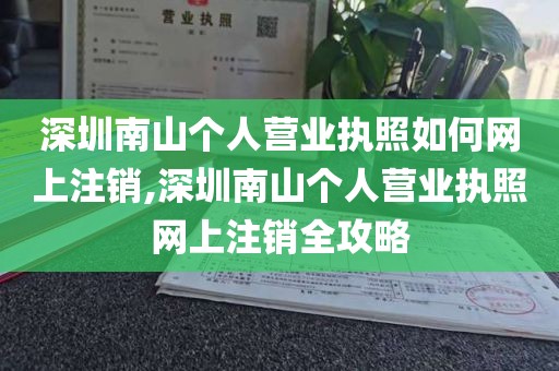 深圳南山个人营业执照如何网上注销,深圳南山个人营业执照网上注销全攻略