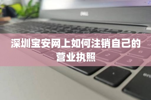 深圳宝安网上如何注销自己的营业执照