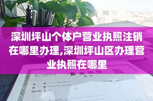 深圳坪山个体户营业执照注销在哪里办理,深圳坪山区办理营业执照在哪里