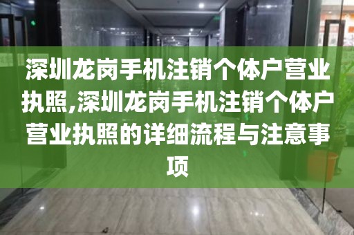 深圳龙岗手机注销个体户营业执照,深圳龙岗手机注销个体户营业执照的详细流程与注意事项