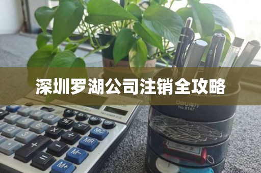 深圳罗湖公司注销全攻略