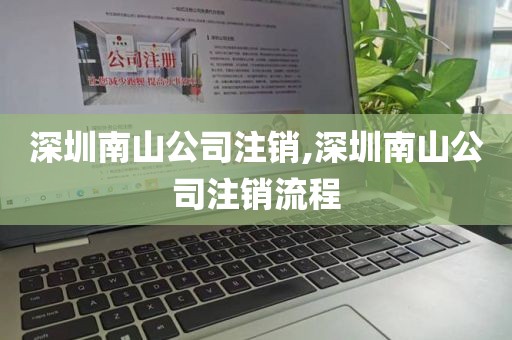 深圳南山公司注销,深圳南山公司注销流程