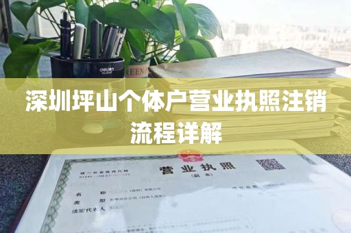 深圳坪山个体户营业执照注销流程详解