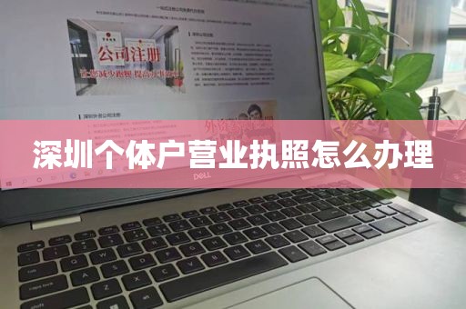 深圳个体户营业执照怎么办理