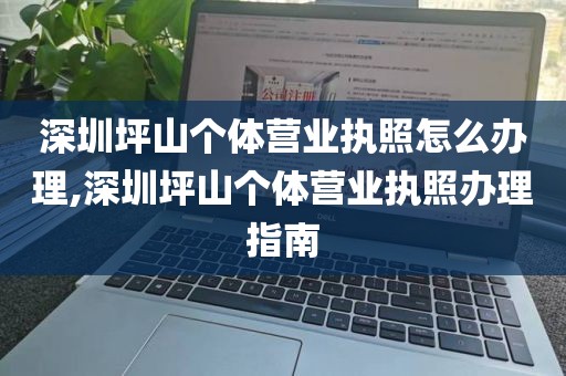 深圳坪山个体营业执照怎么办理,深圳坪山个体营业执照办理指南