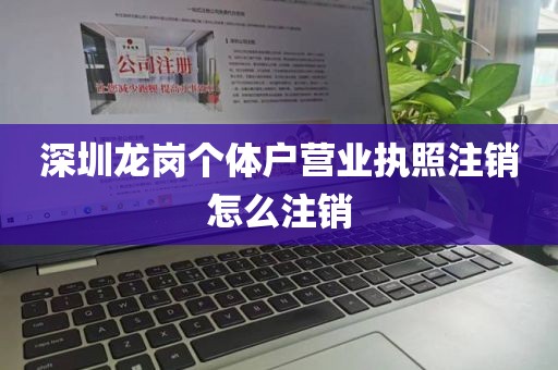 深圳龙岗个体户营业执照注销怎么注销
