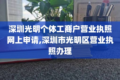 深圳光明个体工商户营业执照网上申请,深圳市光明区营业执照办理