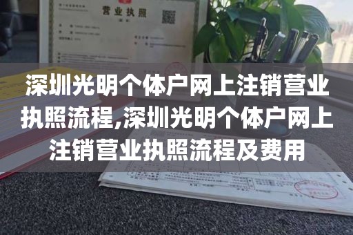 深圳光明个体户网上注销营业执照流程,深圳光明个体户网上注销营业执照流程及费用