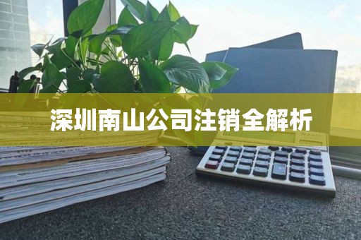 深圳南山公司注销全解析
