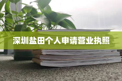 深圳盐田个人申请营业执照