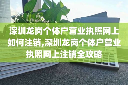 深圳龙岗个体户营业执照网上如何注销,深圳龙岗个体户营业执照网上注销全攻略