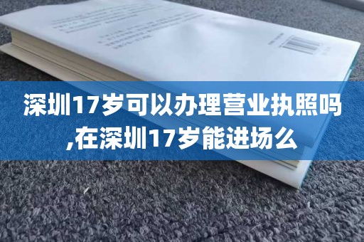 深圳17岁可以办理营业执照吗,在深圳17岁能进场么