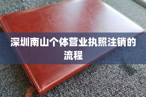 深圳南山个体营业执照注销的流程