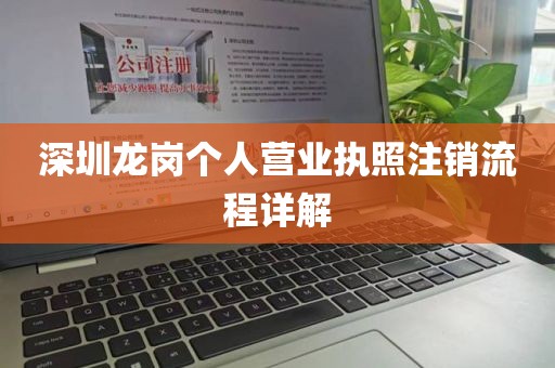 深圳龙岗个人营业执照注销流程详解