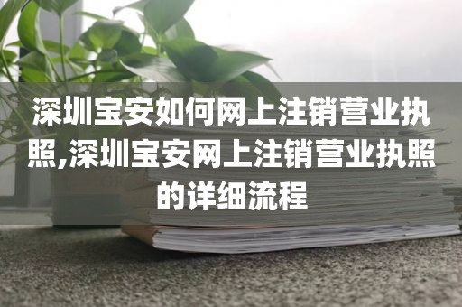深圳宝安如何网上注销营业执照,深圳宝安网上注销营业执照的详细流程