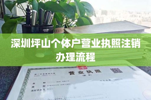 深圳坪山个体户营业执照注销办理流程