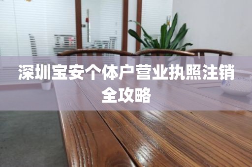 深圳宝安个体户营业执照注销全攻略