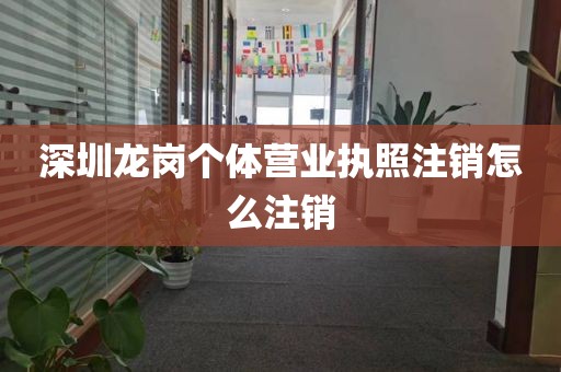 深圳龙岗个体营业执照注销怎么注销