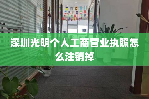 深圳光明个人工商营业执照怎么注销掉