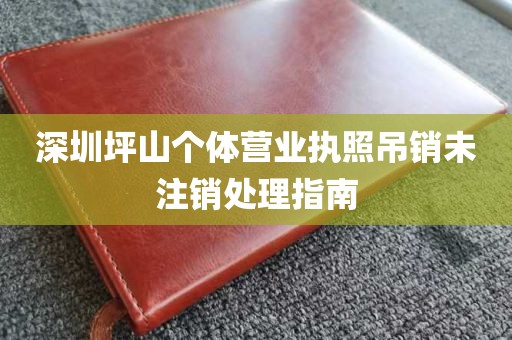 深圳坪山个体营业执照吊销未注销处理指南