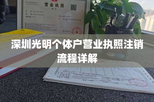深圳光明个体户营业执照注销流程详解
