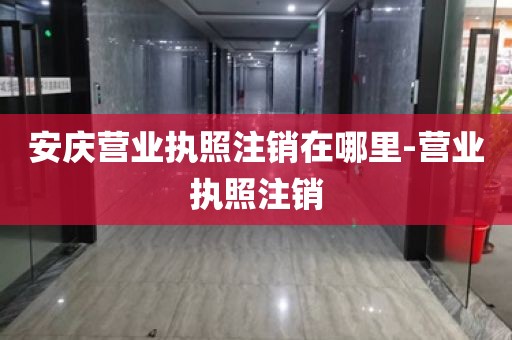 安庆营业执照注销在哪里-营业执照注销