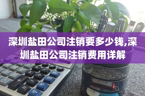 深圳盐田公司注销要多少钱,深圳盐田公司注销费用详解