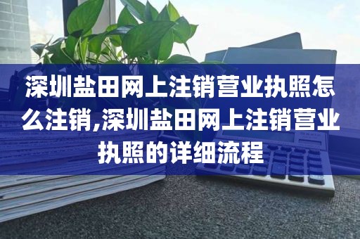 深圳盐田网上注销营业执照怎么注销,深圳盐田网上注销营业执照的详细流程