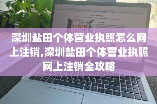 深圳盐田个体营业执照怎么网上注销,深圳盐田个体营业执照网上注销全攻略