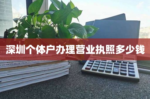 深圳个体户办理营业执照多少钱
