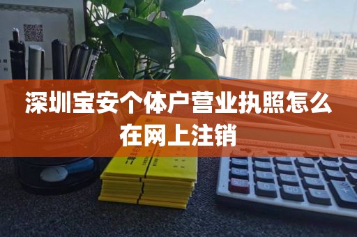 深圳宝安个体户营业执照怎么在网上注销