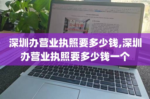 深圳办营业执照要多少钱,深圳办营业执照要多少钱一个